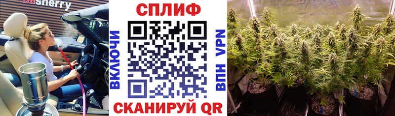 Бошки марихуана семена  купить   Нюрба 